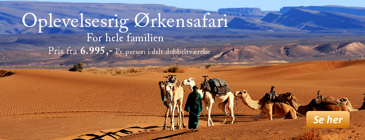 marokko_orkensafari_familien